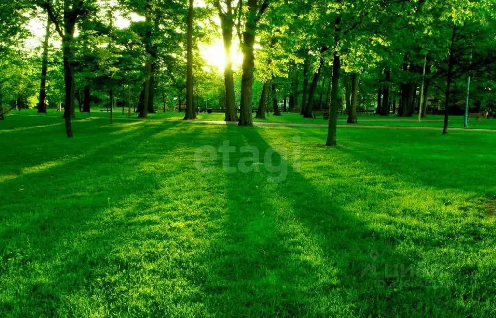 1-к кв. Воронежская область, Воронеж ул. Саврасова, 86 (39.6 м) - Фото 2