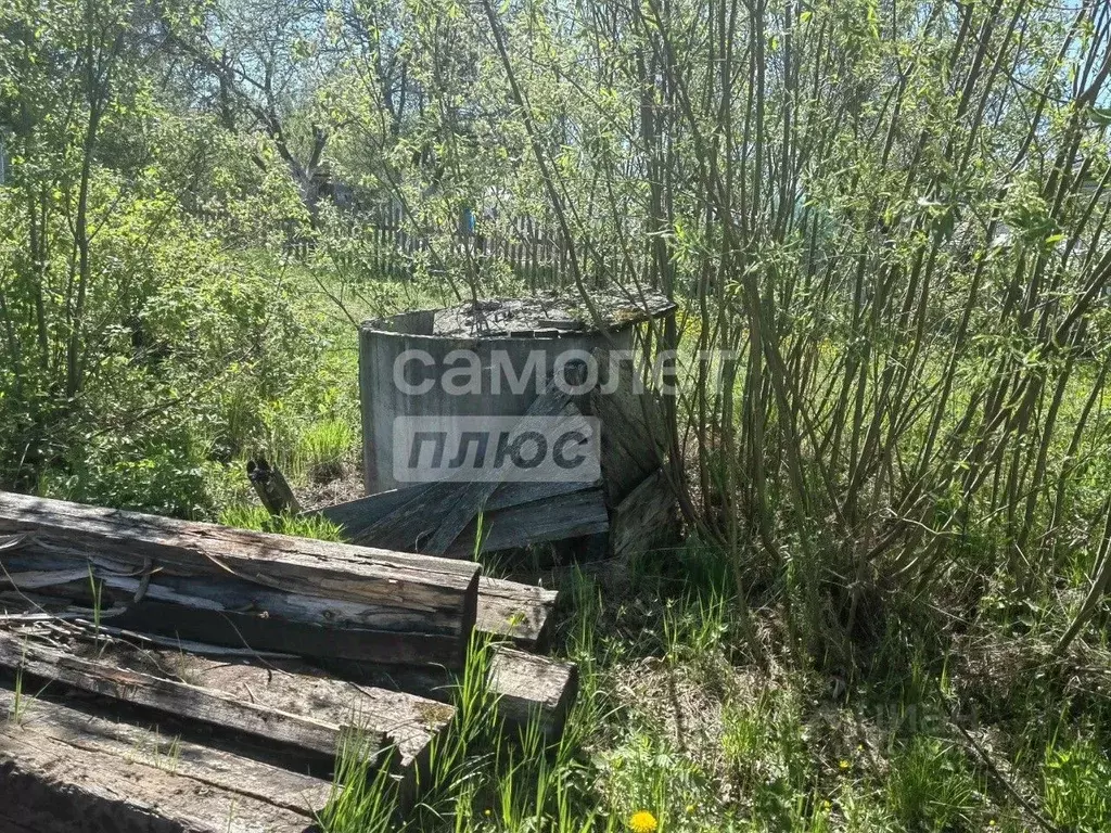 Участок в Вологодская область, Вологда Чайка садоводческое ... - Фото 2