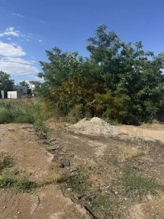 Участок в Крым, Сакский район, Новофедоровка пгт ул. Аэродромная (2.6 ... - Фото 2