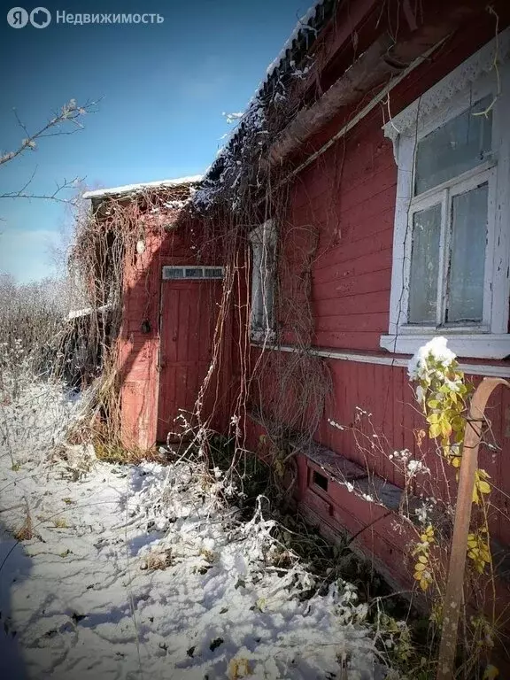 Дом в Маловишерский район, Бургинское сельское поселение, деревня ... - Фото 1