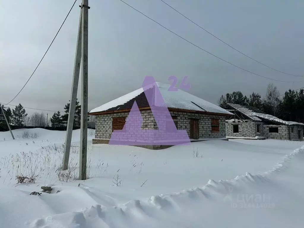 Дом в Алтайский край, Павловский район, с. Павловск Демидовская ул., ... - Фото 2