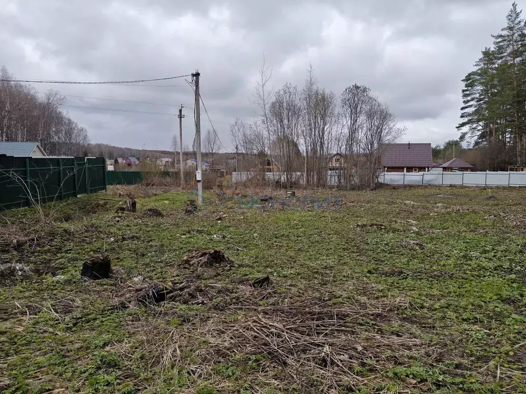 Участок в Нижегородская область, Богородский муниципальный округ, ... - Фото 2