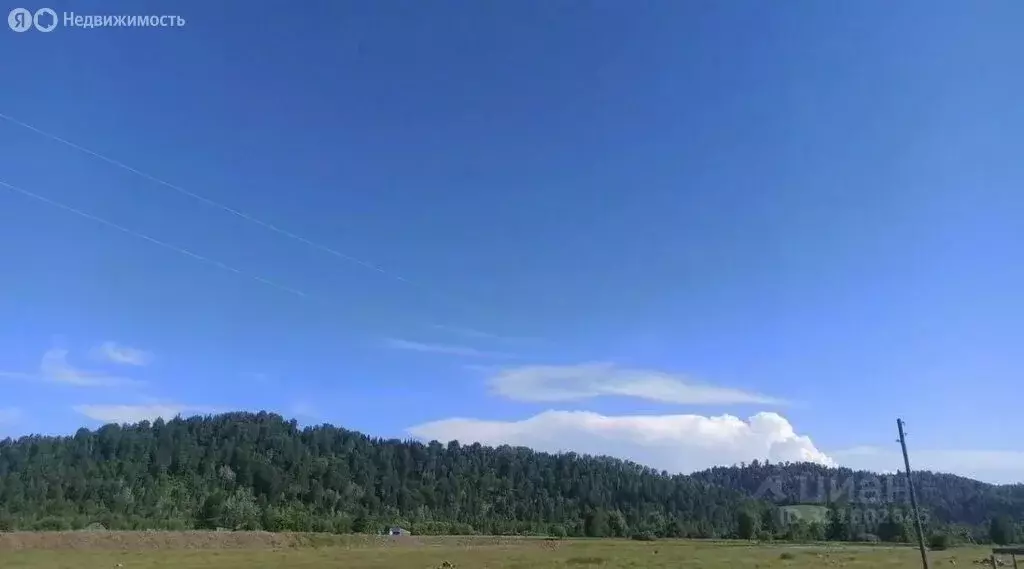 Участок в Чойский район, село Туньжа (25 м) - Фото 1