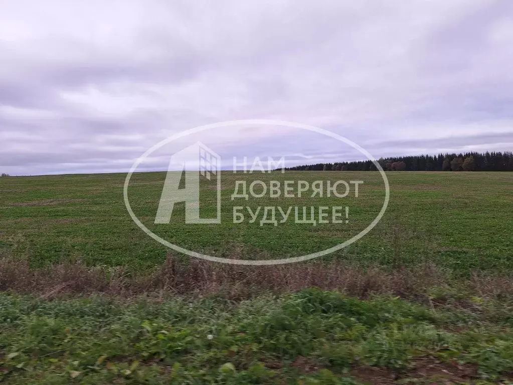 Участок в Пермский край, Кунгурский муниципальный округ, с. Неволино ... - Фото 1