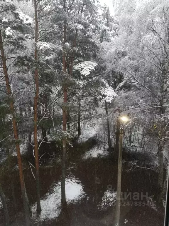 3-к кв. Ивановская область, Тейково ул. Маршала Неделина, 7 (63.0 м) - Фото 2