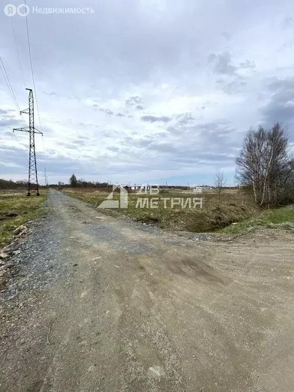 Участок в Сахалинская область, Анивский муниципальный округ, село ... - Фото 1