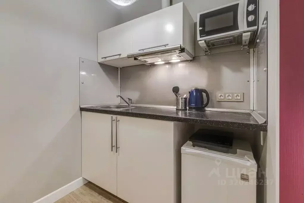 1-к кв. Санкт-Петербург ул. Чайковского, 36 (17.0 м) - Фото 2