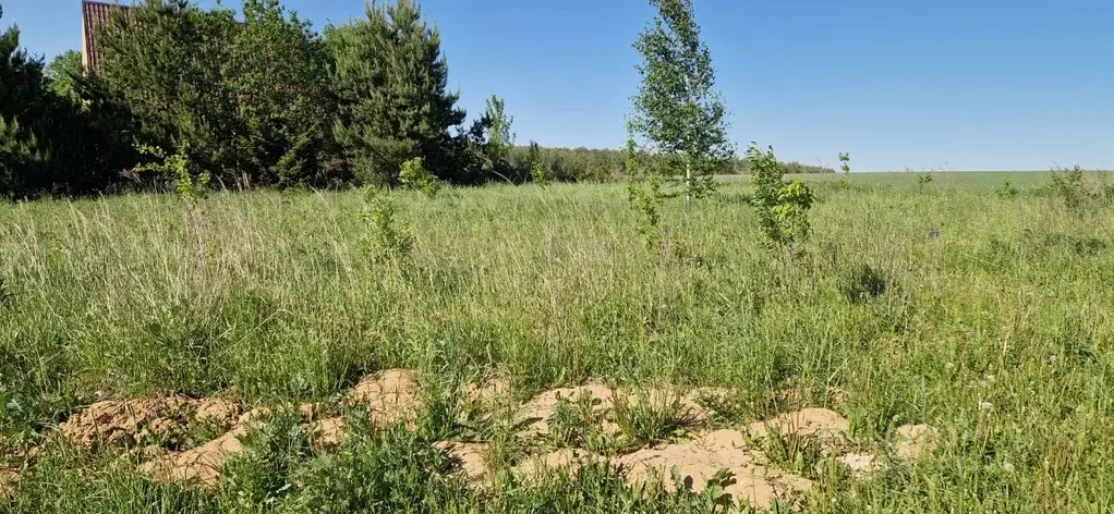 Участок в Московская область, Домодедово городской округ, д. Ведищево  ... - Фото 1