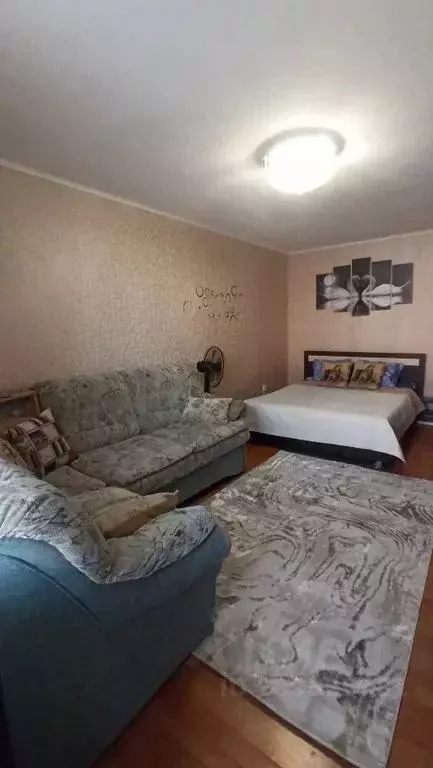 1-к кв. Челябинская область, Златоуст Молодежный кв-л, 7 (41.0 м) - Фото 1