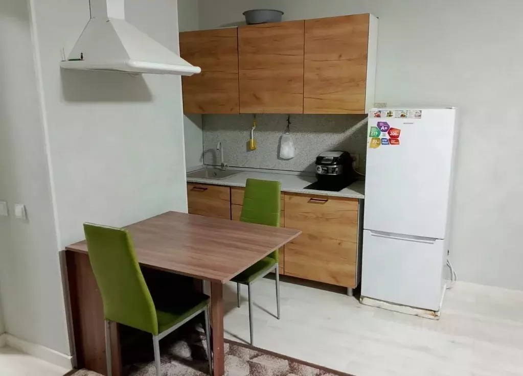 1-к кв. Санкт-Петербург пос. Парголово, Заречная ул., 13к1 (26.0 м) - Фото 1
