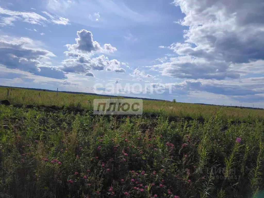 Участок в Тюменская область, Тюменский район, д. Елань  (8.0 сот.) - Фото 0