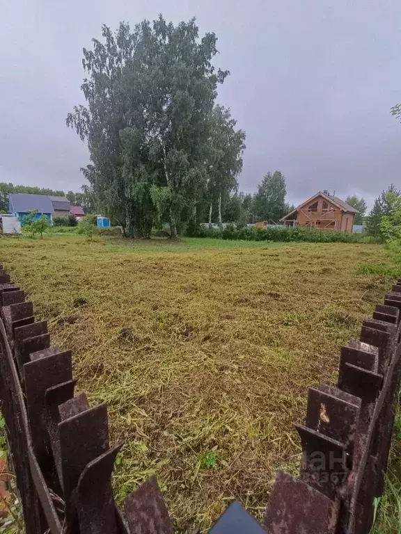 Участок в Новосибирская область, Новосибирский район, Морской ... - Фото 1