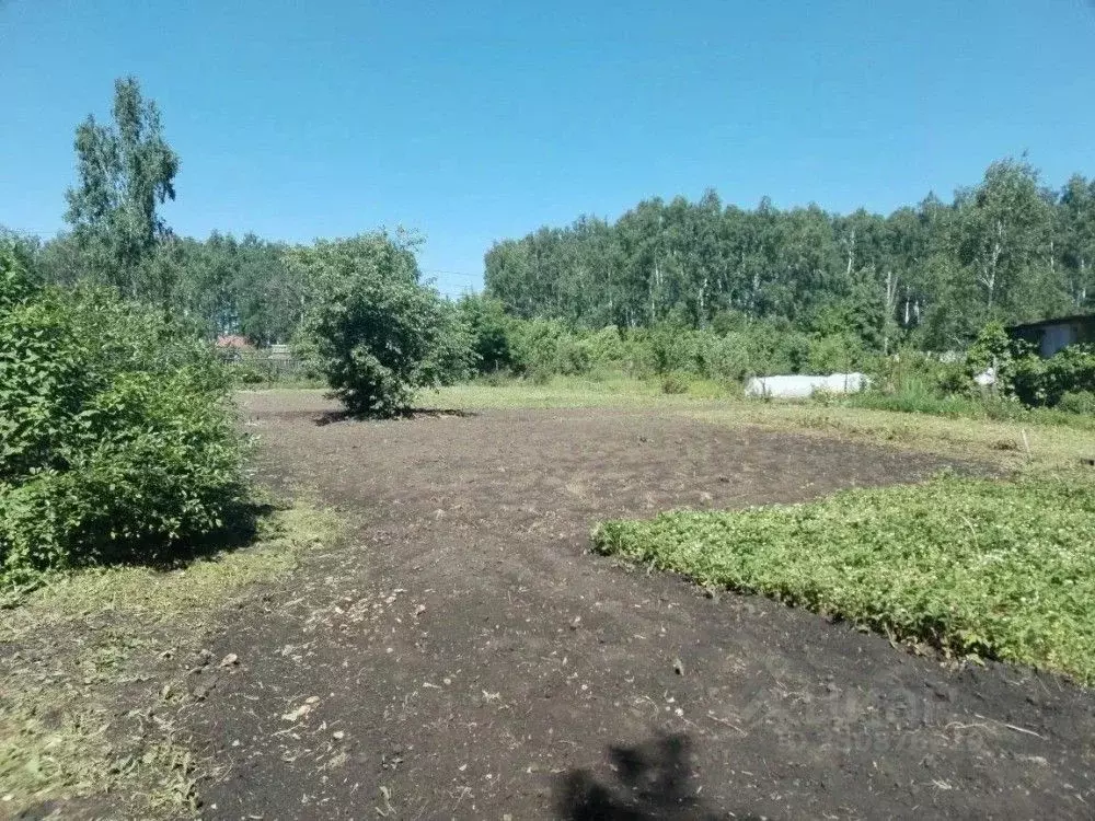 Участок в Омская область, Омск СОСН Механизатор-2 тер.,  (14.0 сот.) - Фото 1