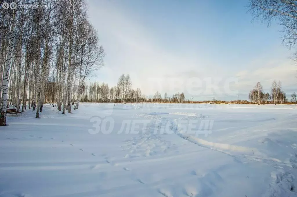 Участок в Московская область, городской округ Щёлково, микрорайон ... - Фото 1