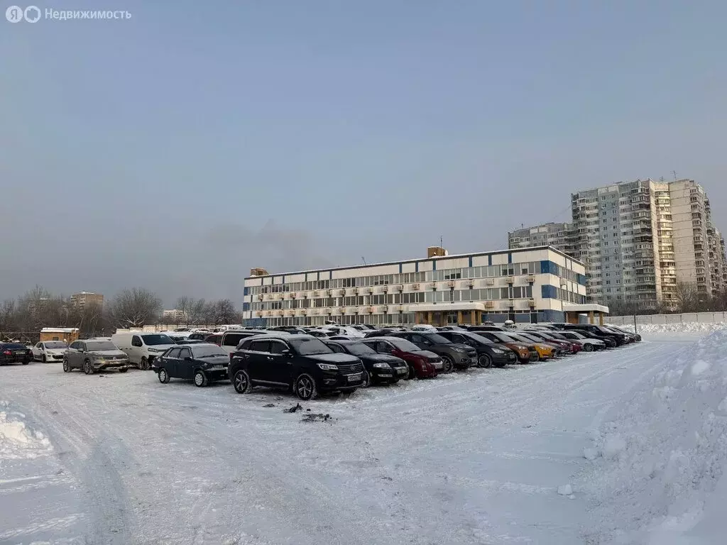 Офис (30 м) - Фото 1