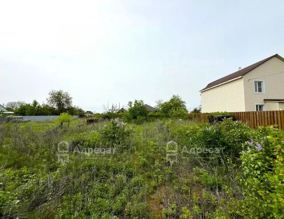 Участок в Волгоградская область, Волгоград Дзержинец СНТ, ... - Фото 2