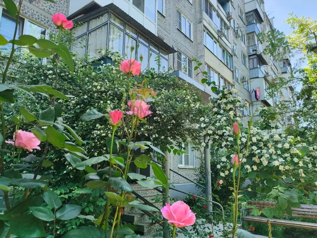 2-к кв. Краснодарский край, Краснодар ул. Гидростроителей (44.6 м) - Фото 0