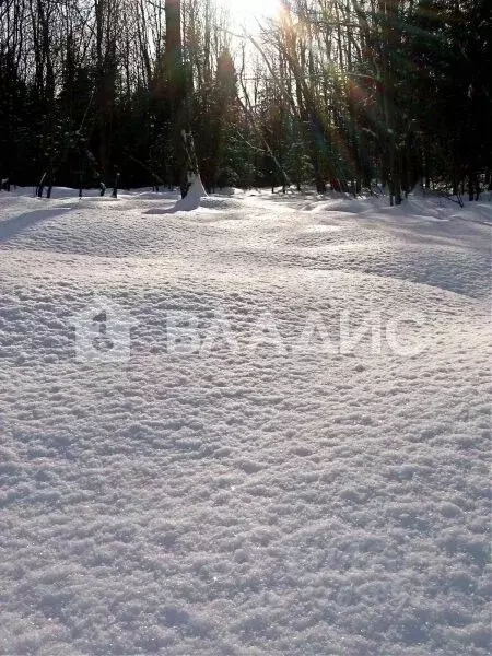 Участок в Владимирская область, Владимир ул. Еланская (7.65 сот.) - Фото 2