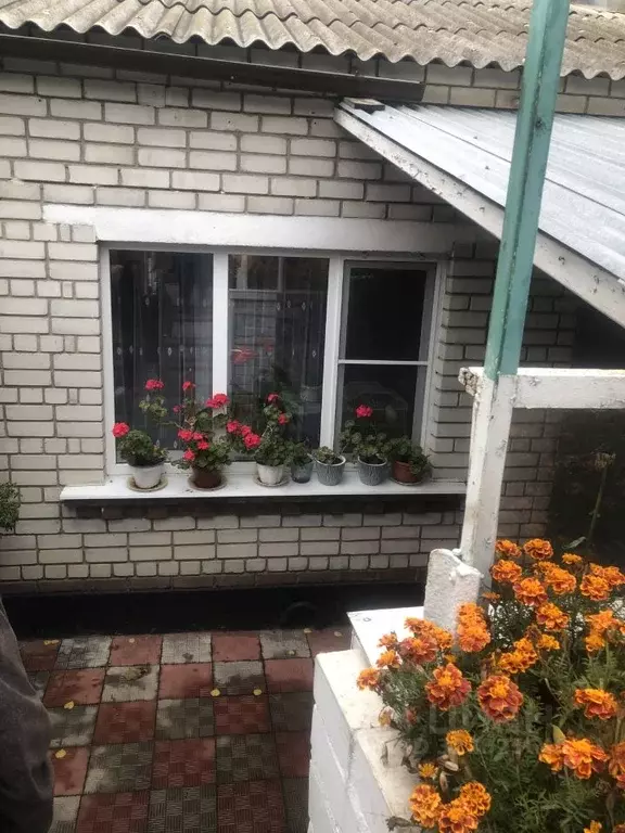 Дом в Воронежская область, Воронеж Песчаная ул., 91 (96 м) - Фото 1