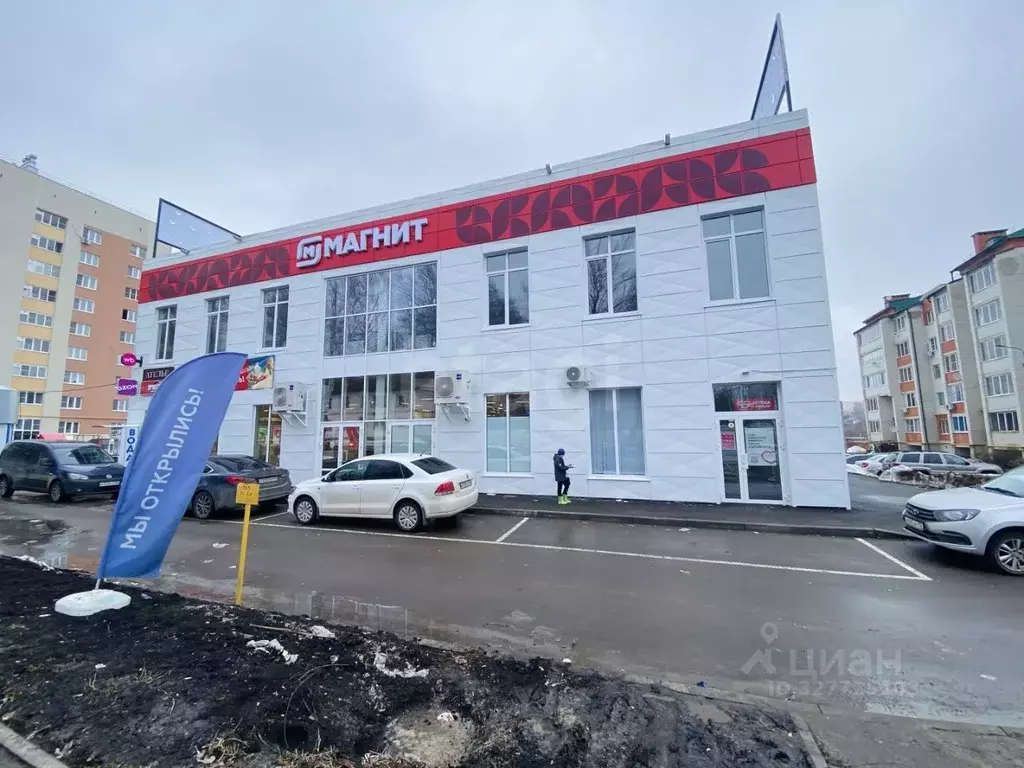 Торговая площадь в Мордовия, Саранск ул. Фурманова, 19 (50 м) - Фото 2