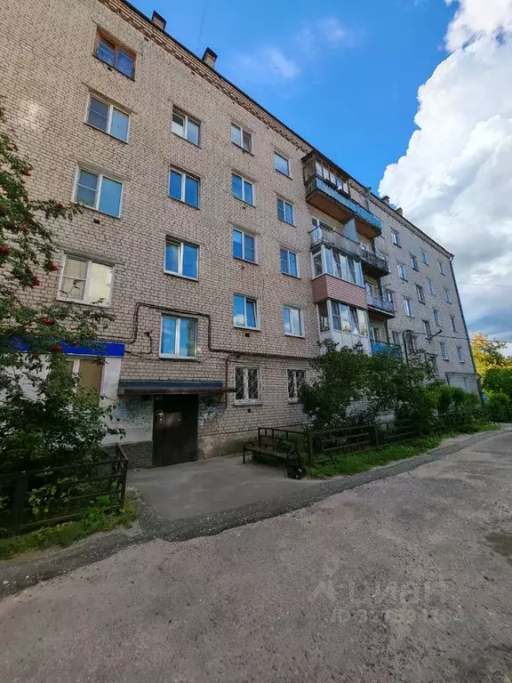 2-к кв. Нижегородская область, Бор Интернациональная ул., 39 (40.8 м) - Фото 0