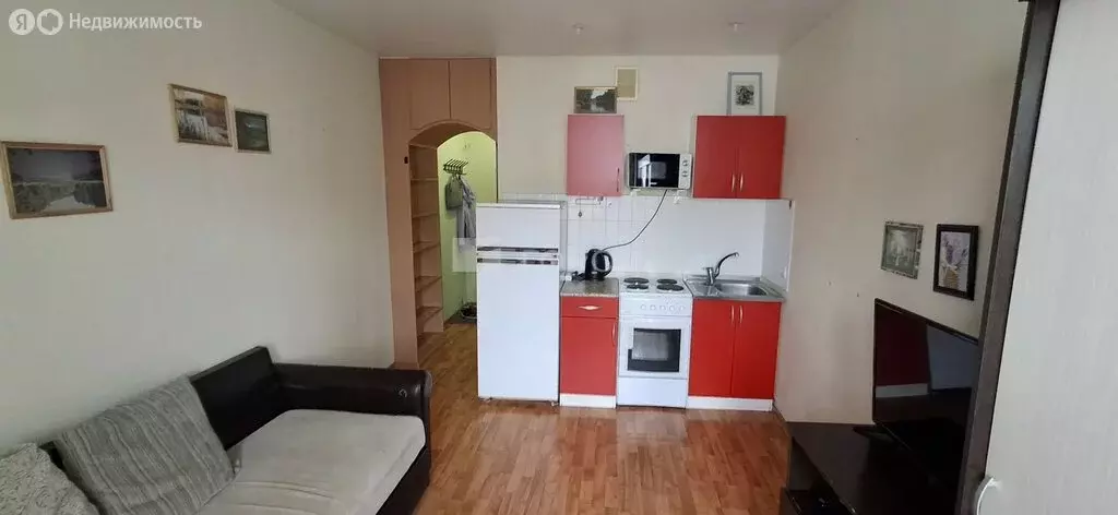 Квартира-студия: Новосибирск, Берёзовая улица, 19 (19 м) - Фото 1