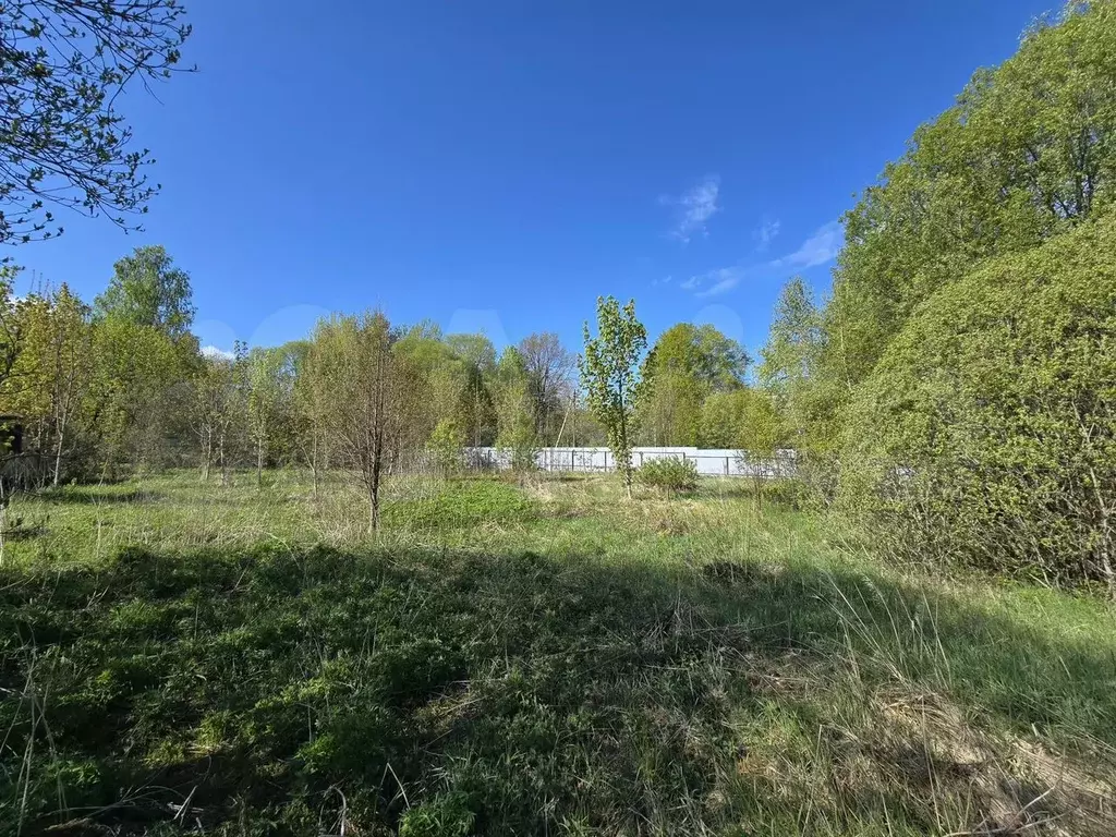 Участок 16,5 сот. (СНТ, ДНП) - Фото 0