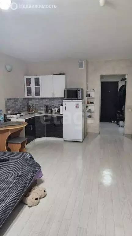 Квартира-студия: Барнаул, улица Советской Армии, 71 (30.4 м) - Фото 2