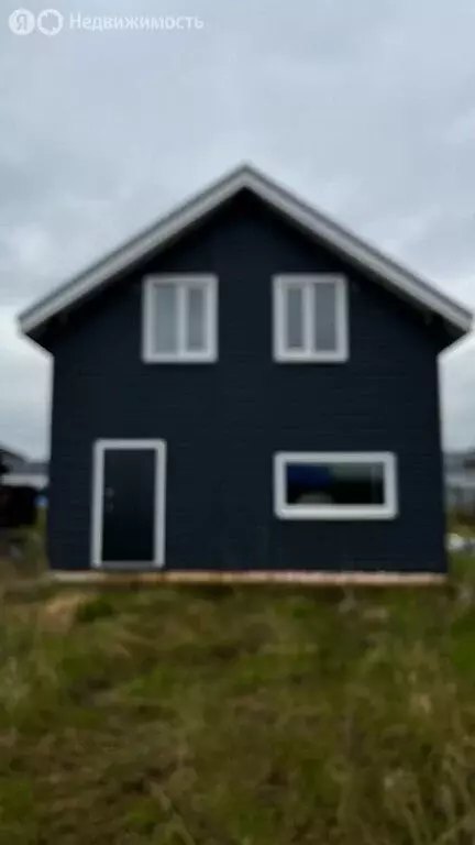 Дом в Аннинское городское поселение, деревня Пески, 24 (88 м) - Фото 1