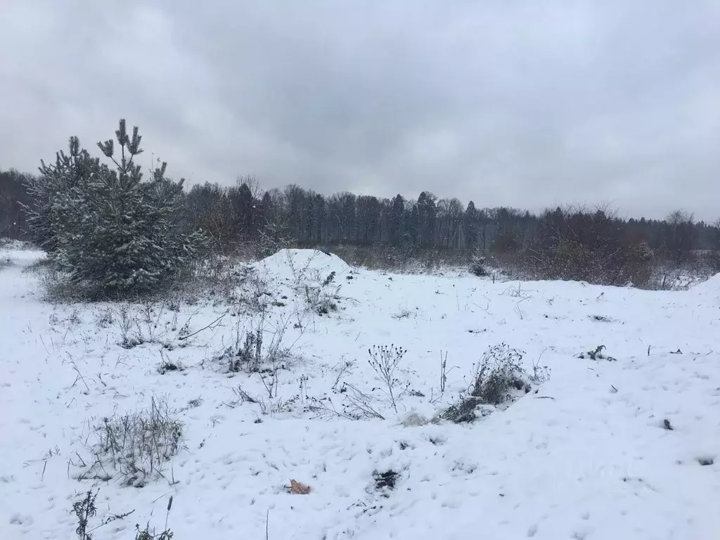 Участок в Московская область, Пушкинский городской округ, д. Цернское  ... - Фото 1