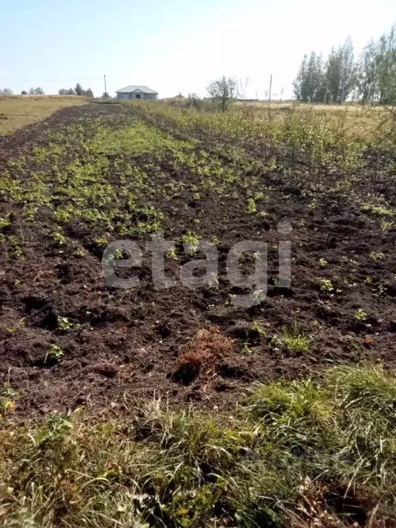 Участок в Брянская область, Брянск ул. Щукина (6.0 сот.) - Фото 0