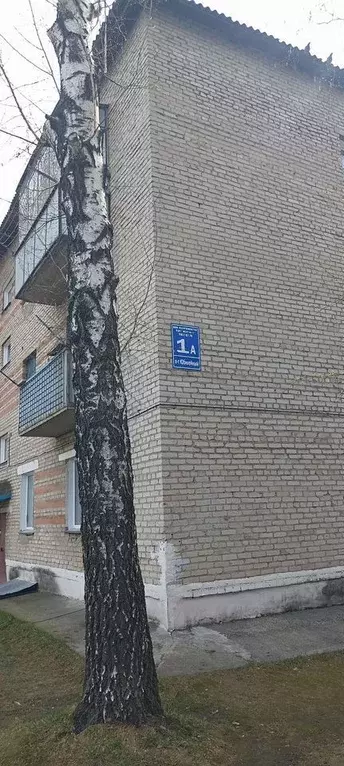 2-к кв. Новосибирская область, Искитим Юбилейный просп., 1А (40.0 м) - Фото 0