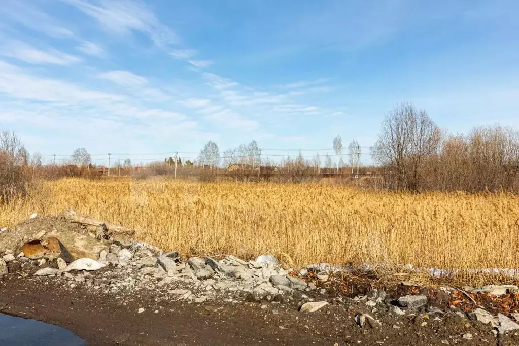 Участок в Тюменская область, Тюмень Поле Чудес садовое товарищество, ... - Фото 0