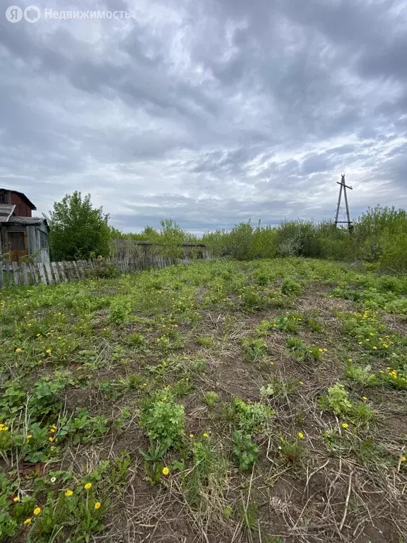 Дом в Белебей, Сосновая улица, 10/2 (25 м) - Фото 2