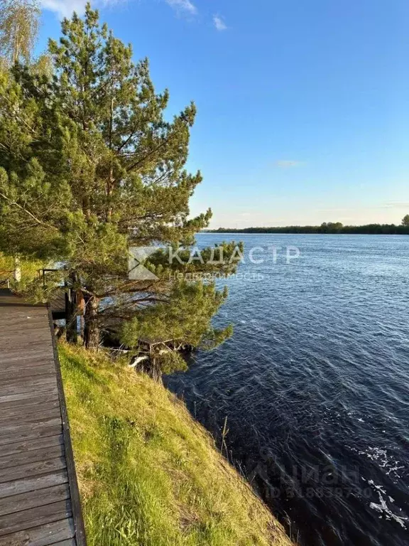 Участок в Нижегородская область, Бор Первая линия (170.0 сот.) - Фото 0