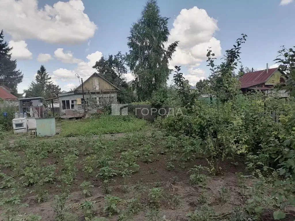 Участок в Новосибирская область, Новосибирский район, Толмачевский ... - Фото 2