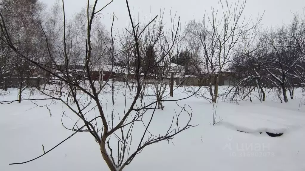 Участок в Белгородская область, Красногвардейский район, Никитовское ... - Фото 2