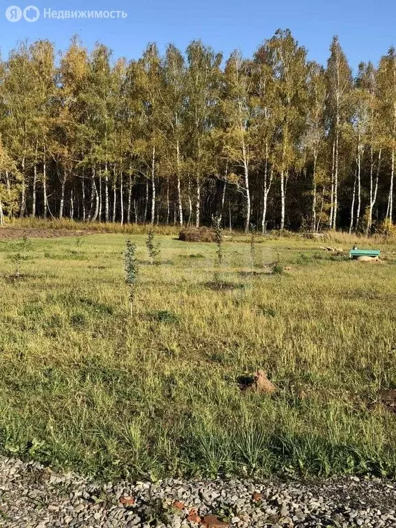 Участок в Белёвский район, сельское поселение Правобережное, деревня ... - Фото 2