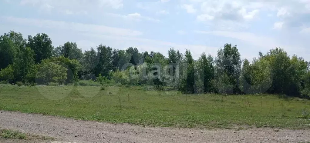 Участок 12 сот. (СНТ, ДНП) - Фото 0
