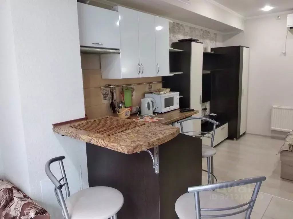 1-к кв. Краснодарский край, Сочи Центральный мкр, ул. Нагорная, 17/7 ... - Фото 1