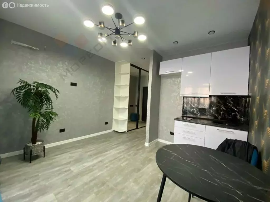 Квартира-студия: Краснодар, улица Ивана Беличенко, 89 (26 м) - Фото 2