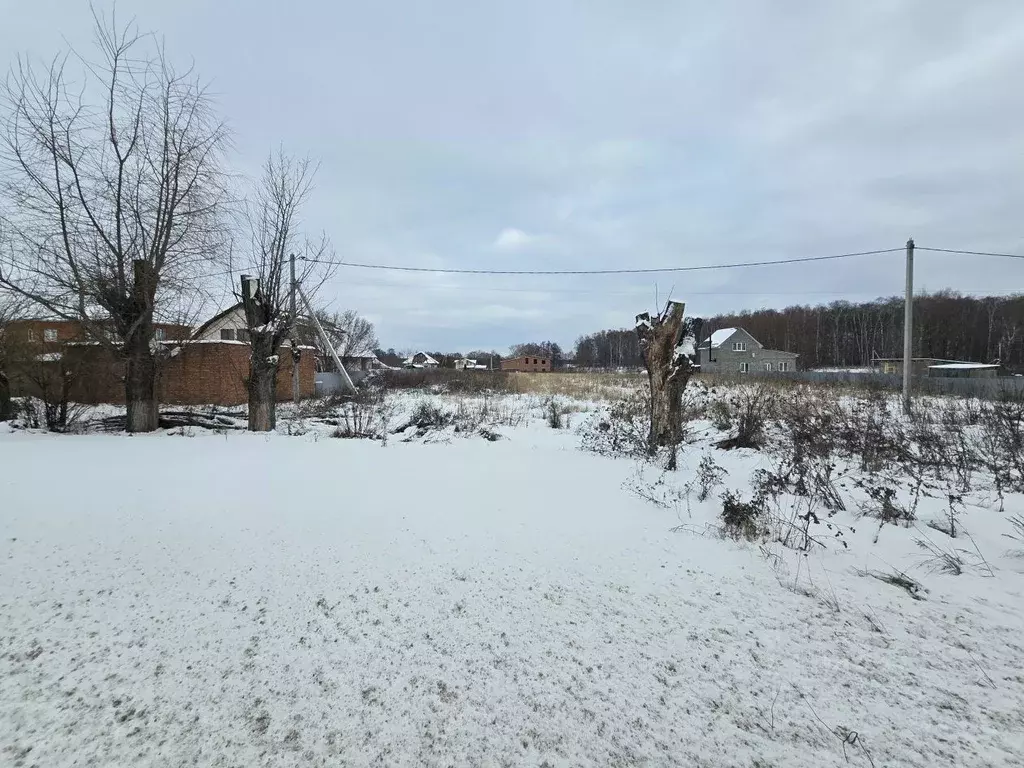 Участок в Московская область, Коломна городской округ, с. Непецино  ... - Фото 0