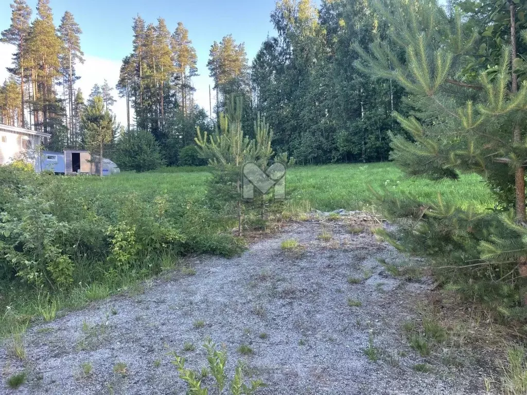 Участок в Ленинградская область, Выборгский район, Каменногорское ... - Фото 2
