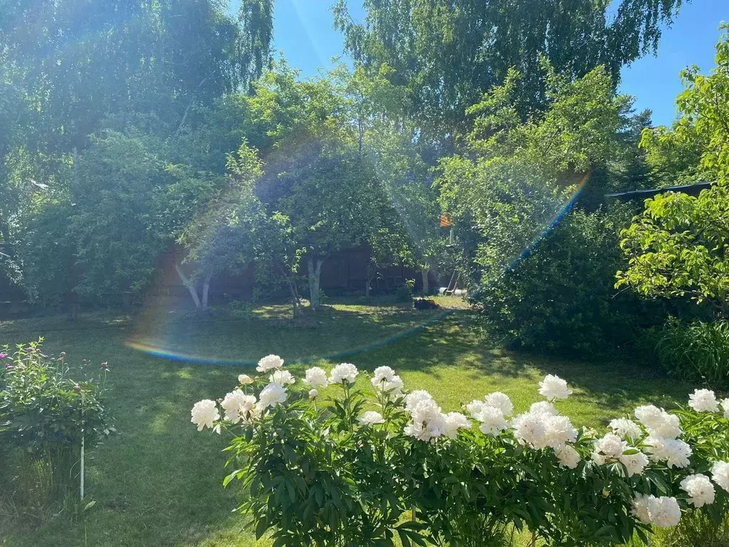 Участок в Московская область, Мытищи городской округ, д. Аббакумово, ... - Фото 0