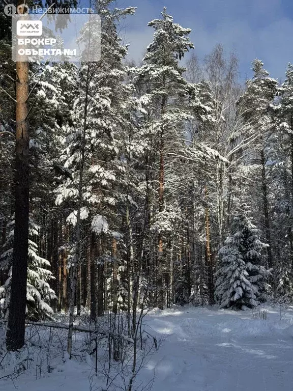 Участок в деревня Сарженка, ДНП Лесной Хутор (13.21 м) - Фото 2