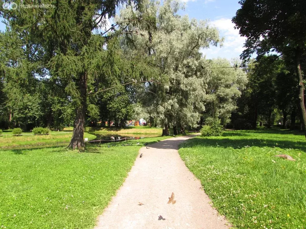 2-комнатная квартира: Санкт-Петербург, улица Бабушкина, 59 (53 м) - Фото 1