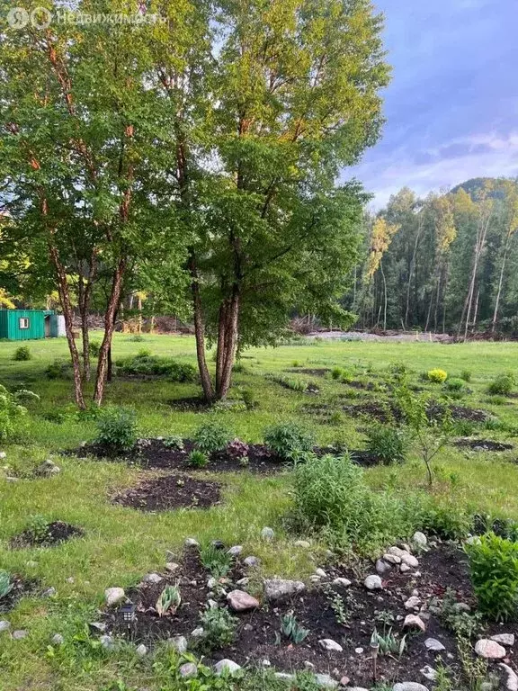 Участок в посёлок Николаевка, улица Фадеева, 3 (49897 м) - Фото 1