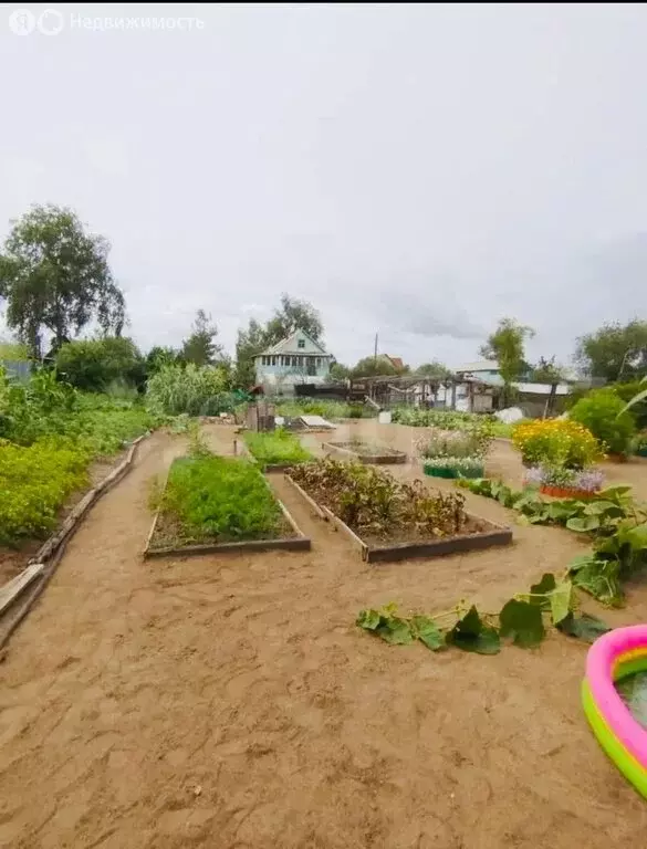 Дом в Чита, ДНТ Садко (60 м) - Фото 1