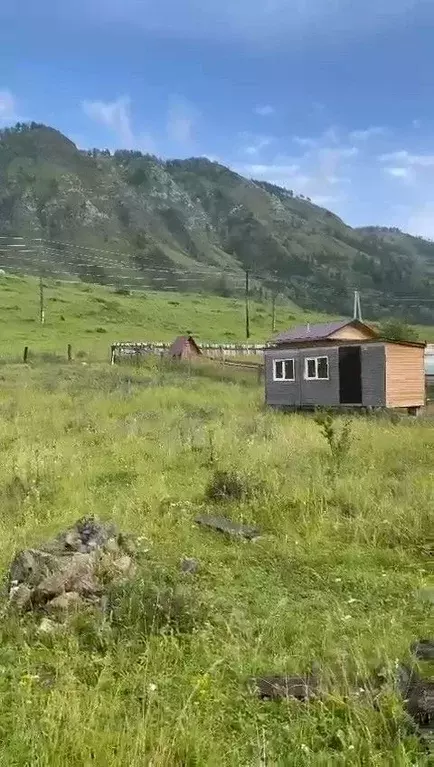 Участок в Алтай, Чемальский район, с. Чемал Чемальская ул., 60 (15.14 ... - Фото 0