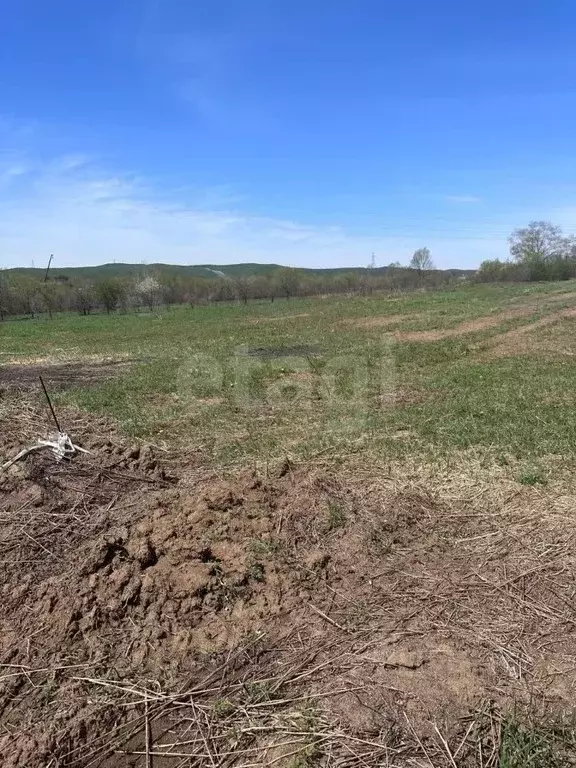 Участок в Амурская область, Благовещенский район, с. Усть-Ивановка ... - Фото 1